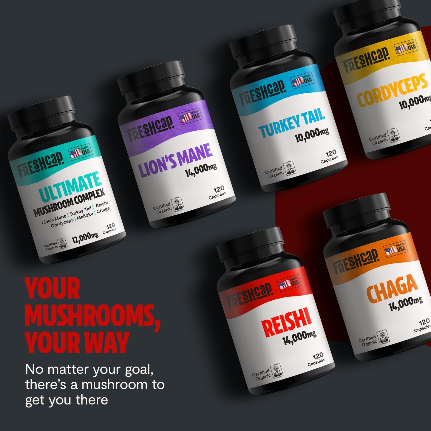 MushroomMind: Ultimate Nootropic Focus Formula