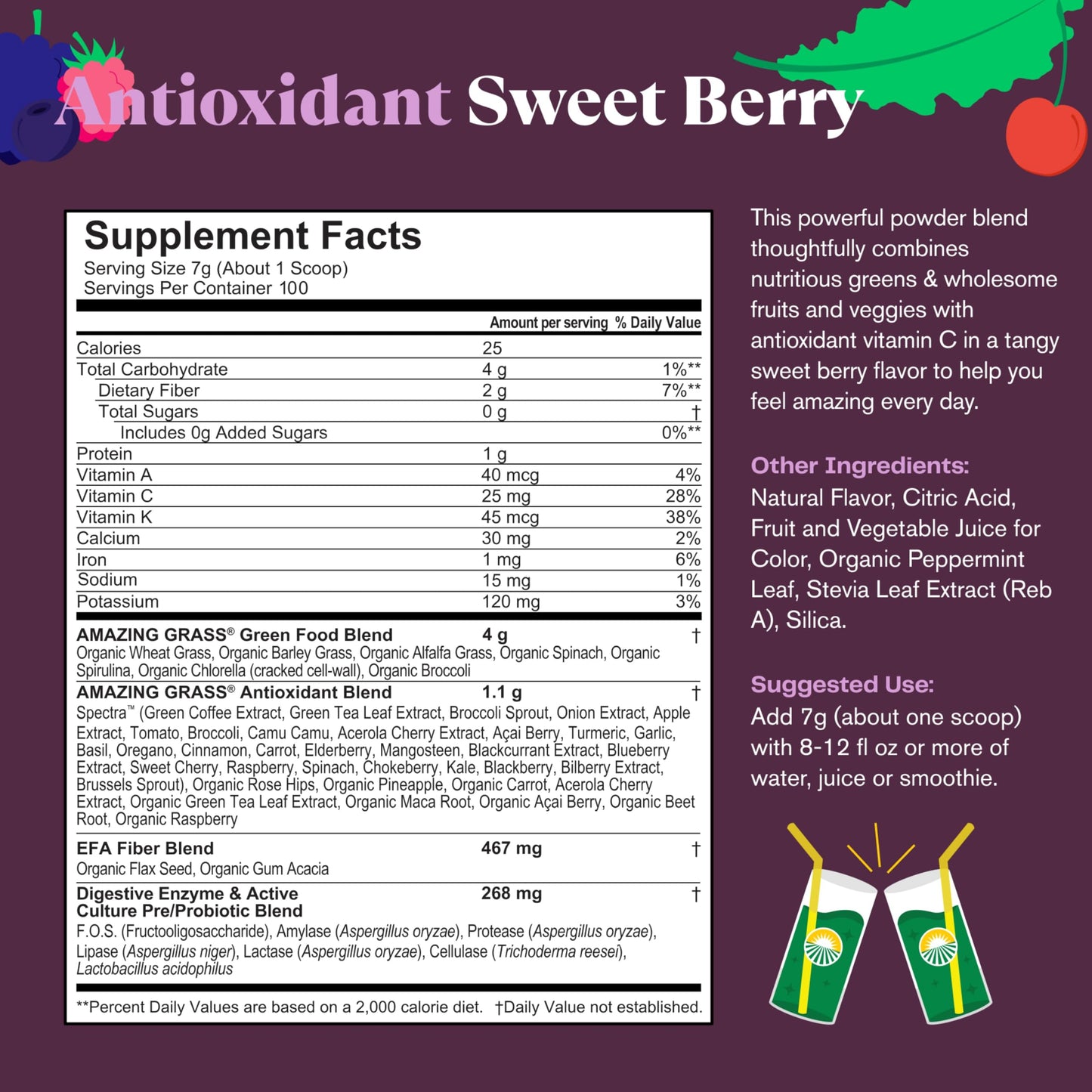 Super Berry Antioxidant Powder Mix