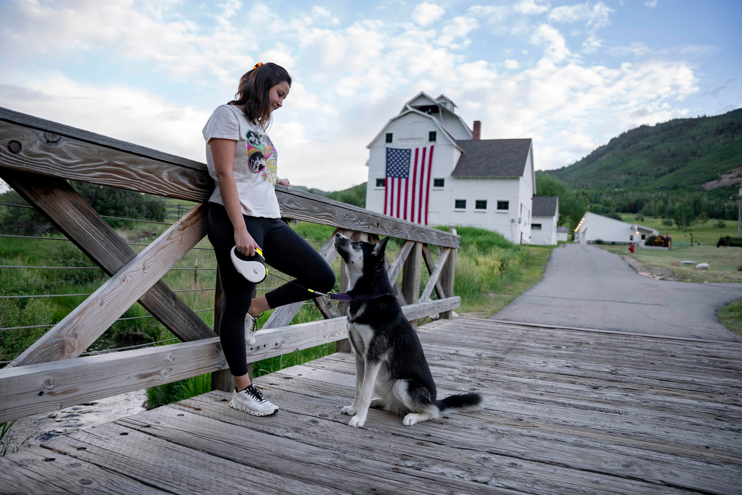 SpinFree 360° Dog Leash - Large, White, 16ft Nylon