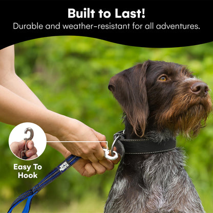 RhinoGrip Aqua: Double Handle Reflective Dog Leash