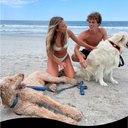 RhinoGrip Aqua: Double Handle Reflective Dog Leash