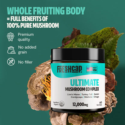 MushroomMind: Ultimate Nootropic Focus Formula
