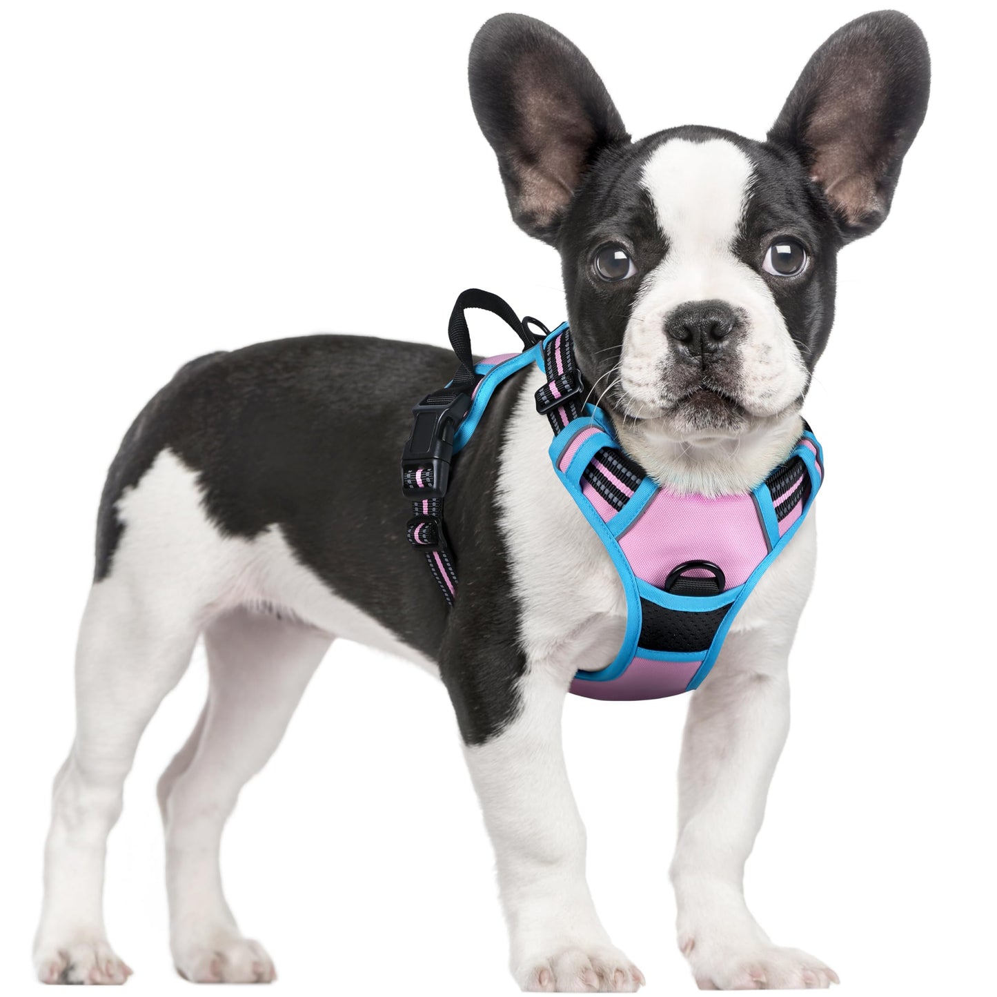 PawGuard No-Pull Reflective Dog Harness - Large Black