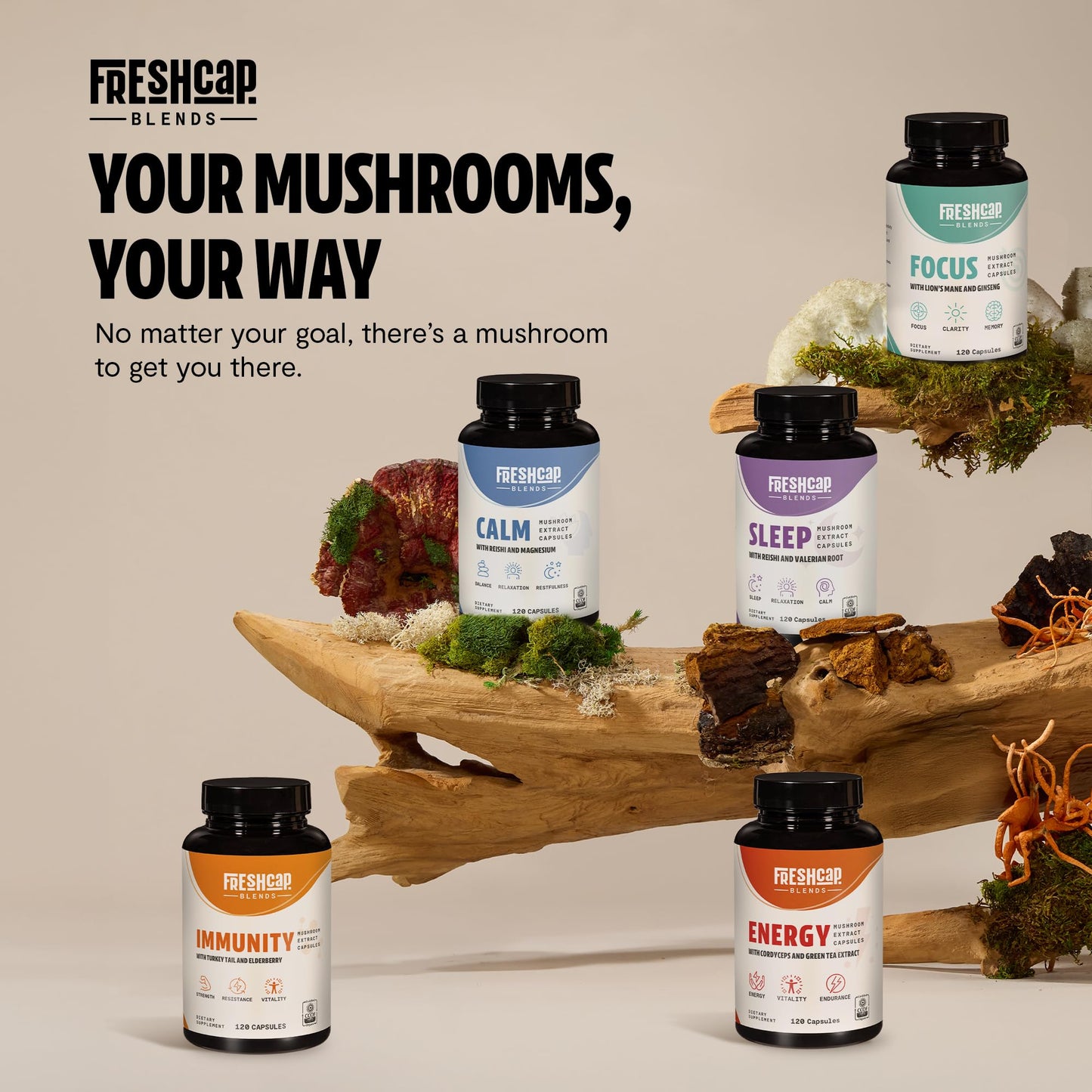 MushroomMind: Ultimate Nootropic Focus Formula
