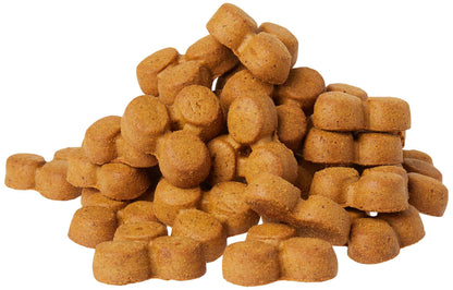 Wag Expedition Pumpkin Chia Dog Treats, Organic Biscuits