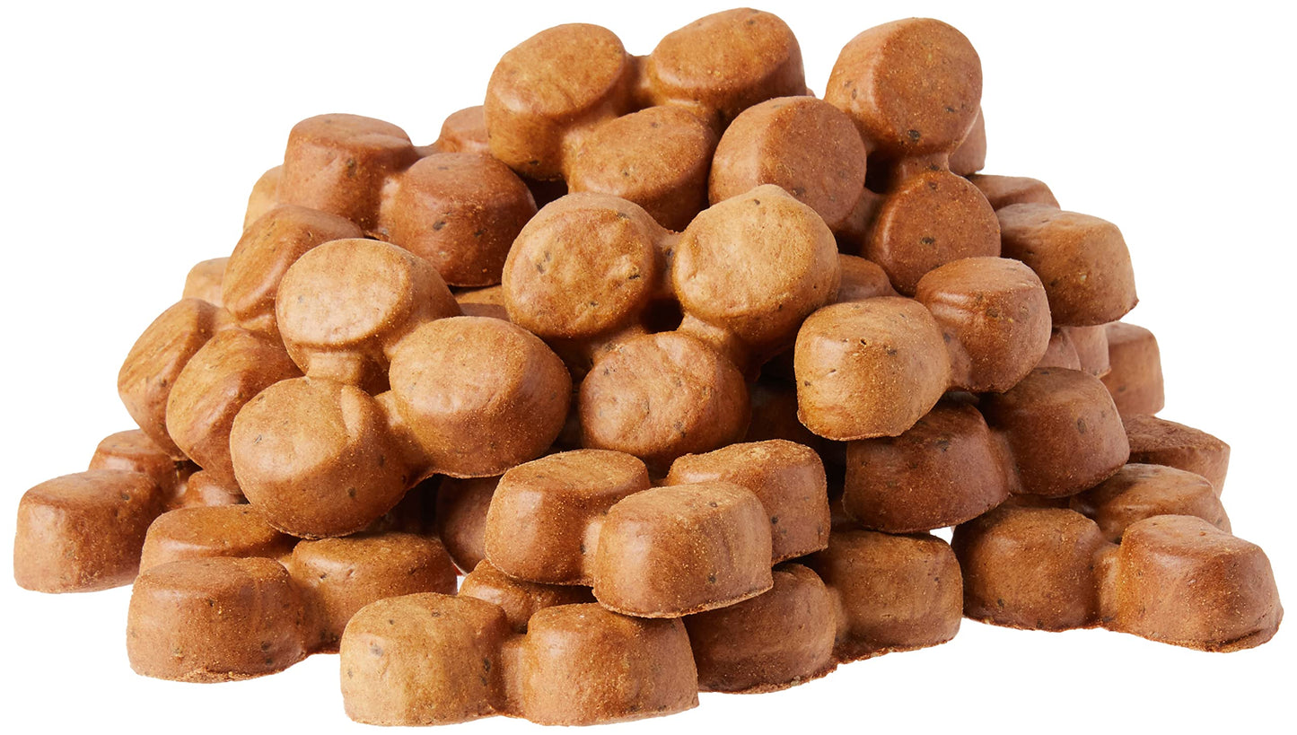 Wag Expedition Pumpkin Chia Dog Treats, Organic Biscuits