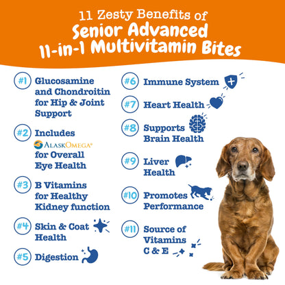 PawZest Omega Multivitamin Chews - Senior & Puppy