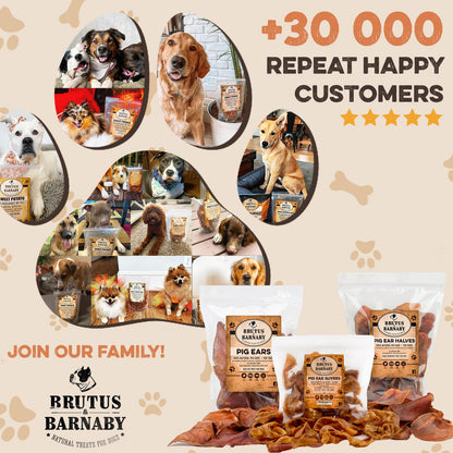 PawSavor Pig Ears: Natural, Tasty Chews for Dogs
