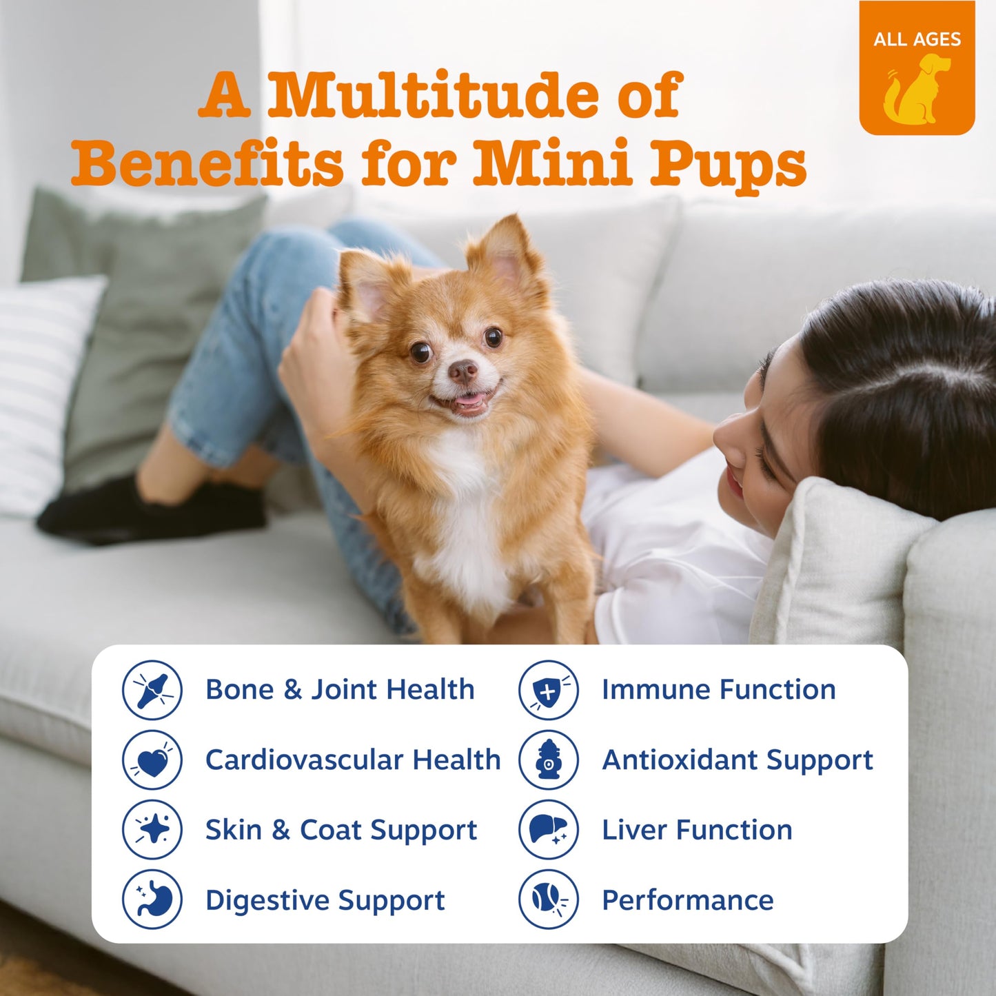 PawZest Omega Multivitamin Chews - Senior & Puppy