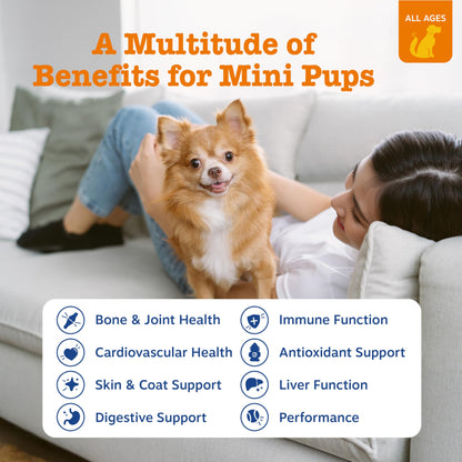 PawZest Omega Multivitamin Chews - Senior & Puppy