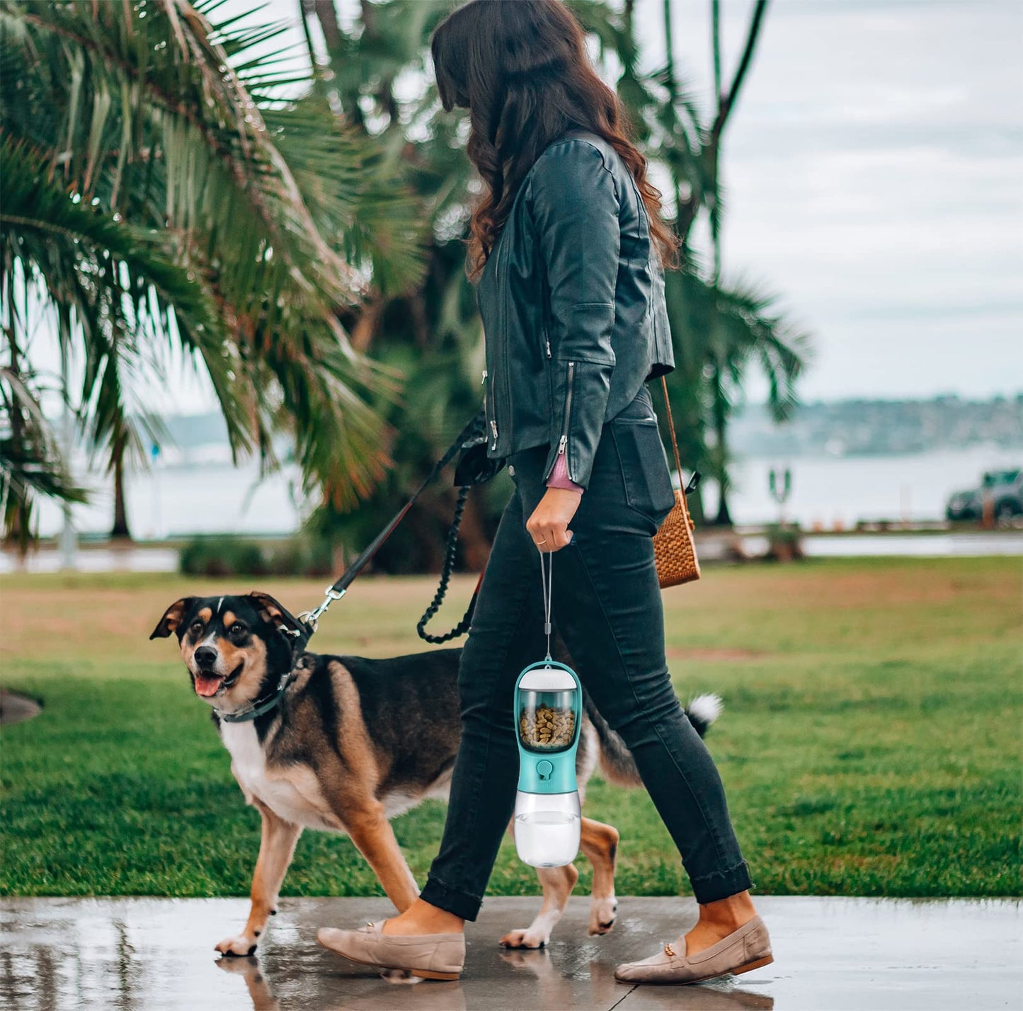 PawPals Travel Buddy: Portable Pet Hydration & Snack