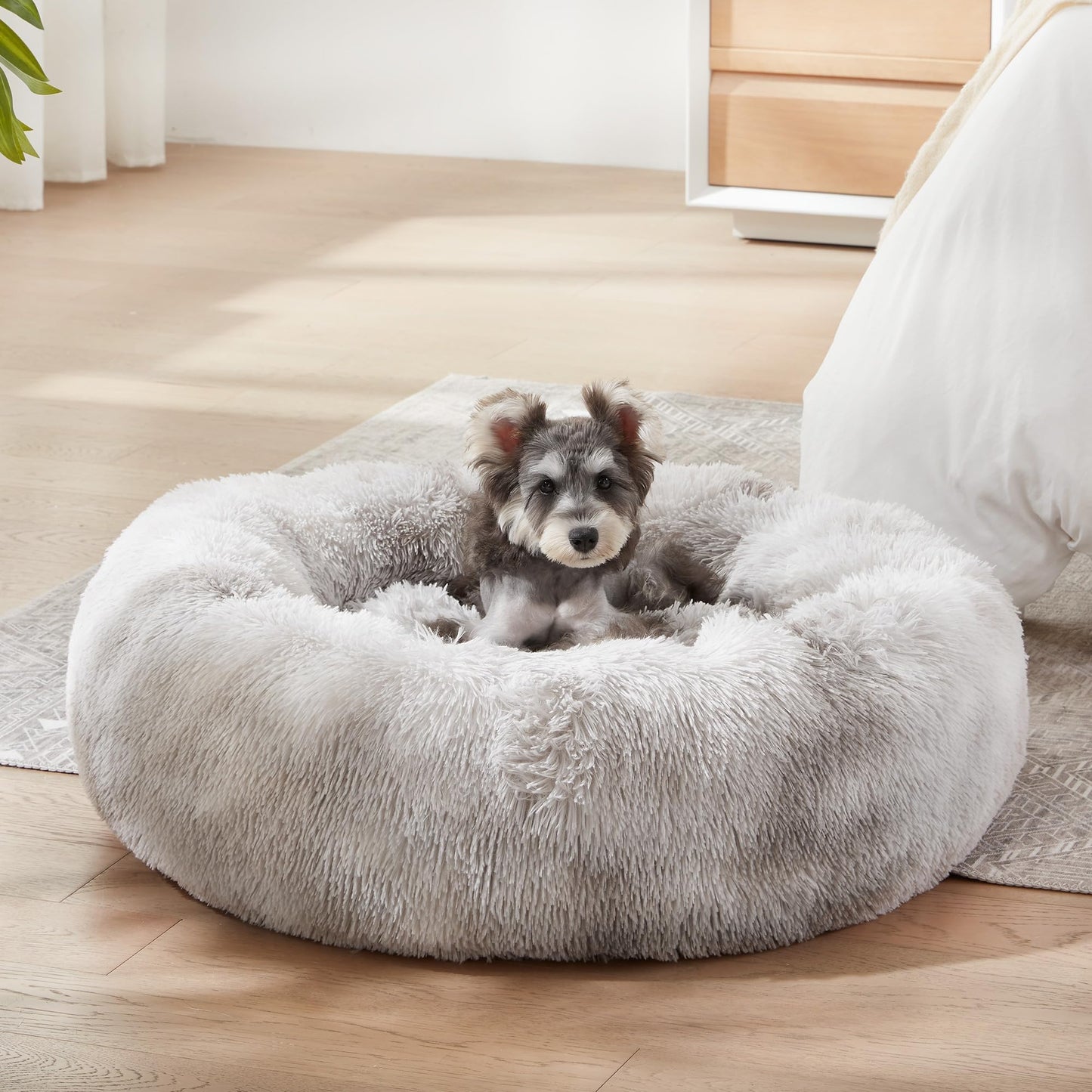 PawCozy Nest: Plush Anti-Anxiety Pet Bed, Light Grey