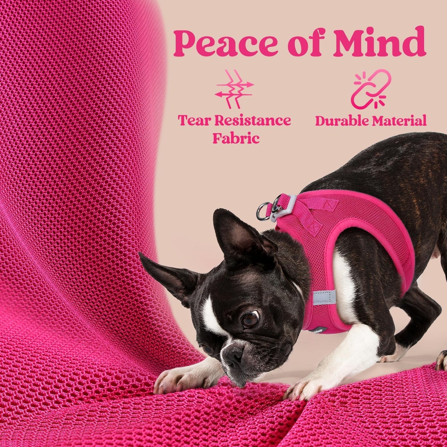 BunnyStep: Reflective Mesh Harness for Small Dogs