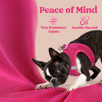 BunnyStep: Reflective Mesh Harness for Small Dogs