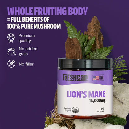 MushroomMind: Ultimate Nootropic Focus Formula