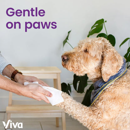 Viva Ultra-Absorbent Double Rolls - 3 Pack, 86 Sheets