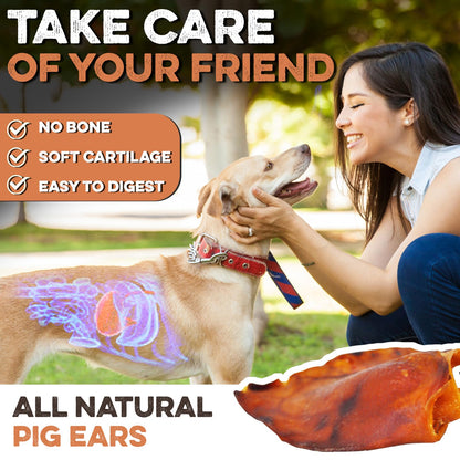 PawSavor Pig Ears: Natural, Tasty Chews for Dogs