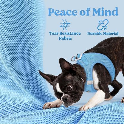 BunnyStep: Reflective Mesh Harness for Small Dogs