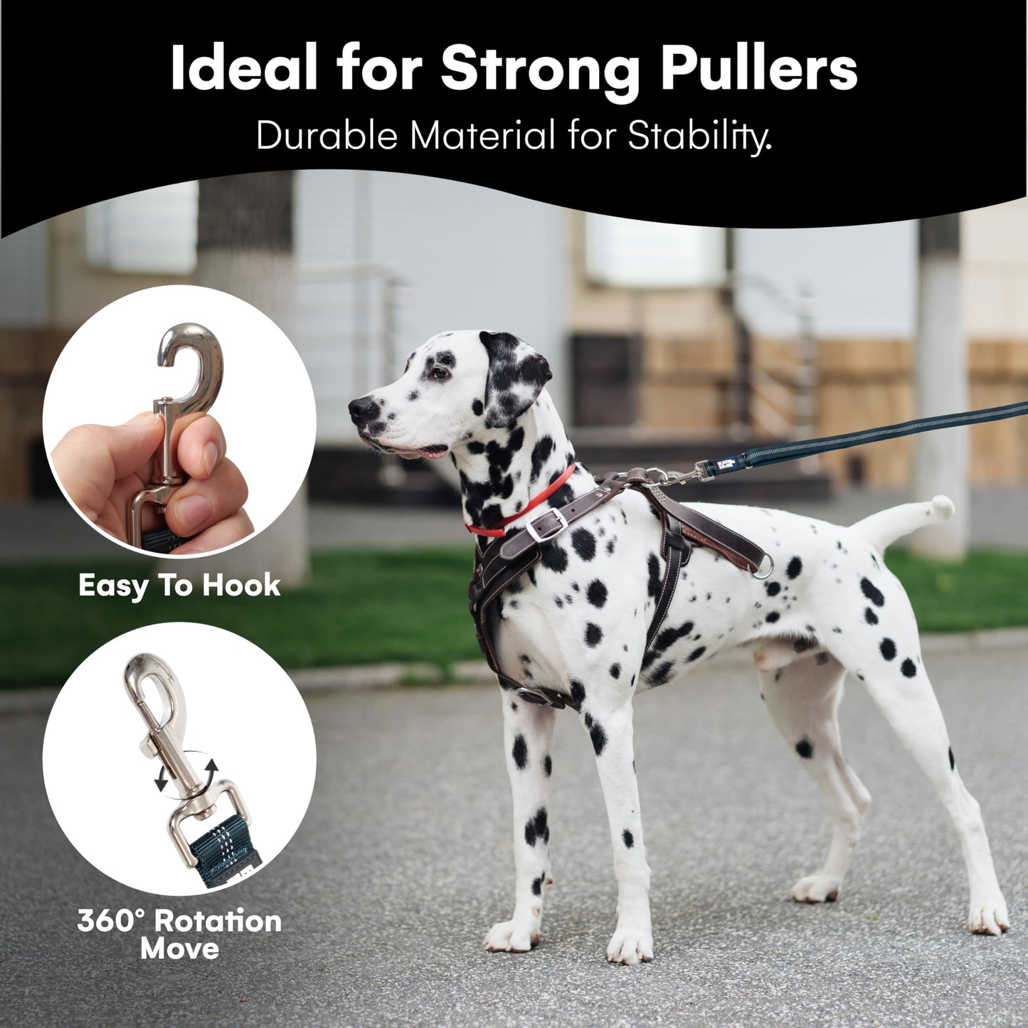 RhinoGrip Aqua: Double Handle Reflective Dog Leash