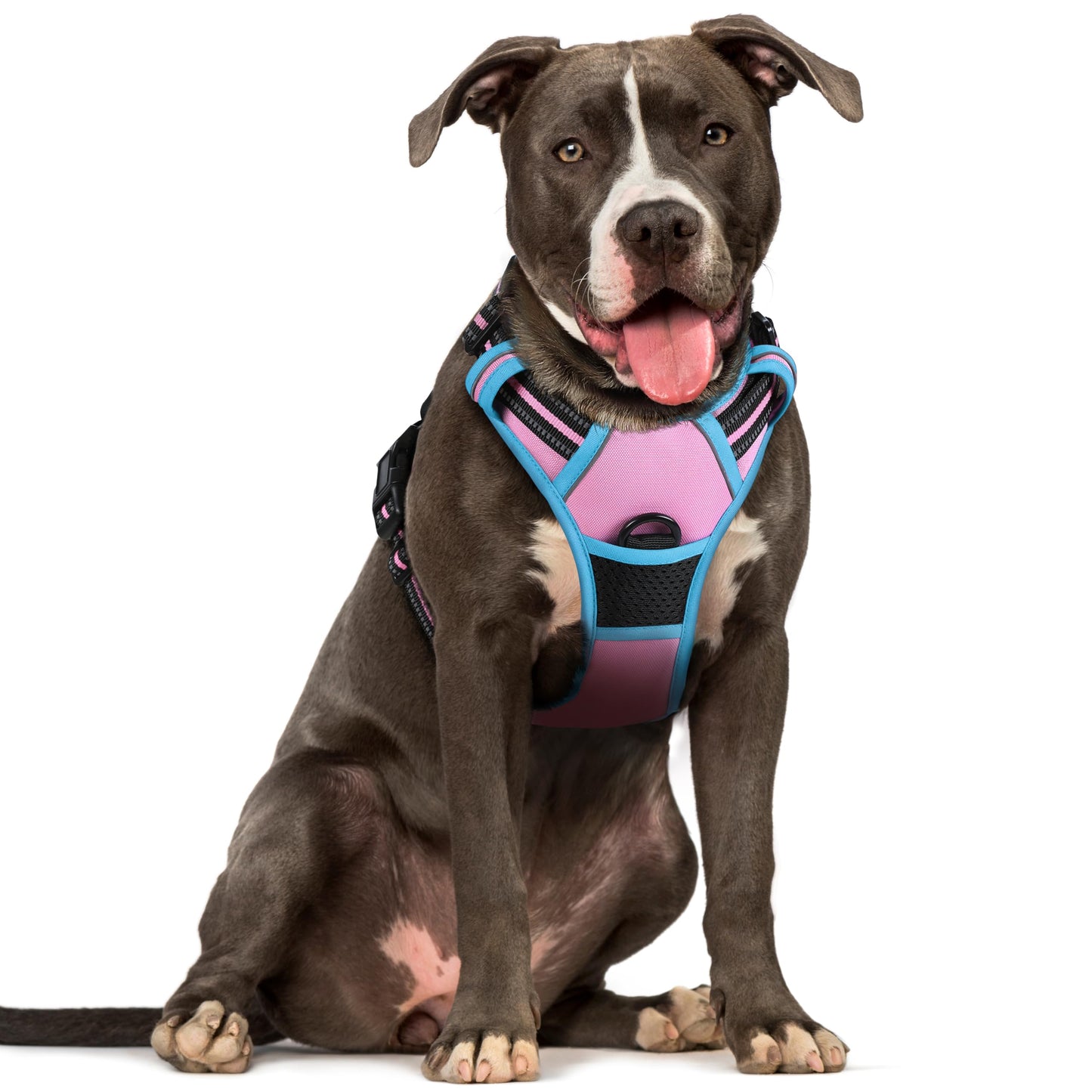 PawGuard No-Pull Reflective Dog Harness - Large Black