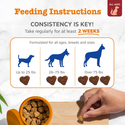 PawZest Omega Multivitamin Chews - Senior & Puppy