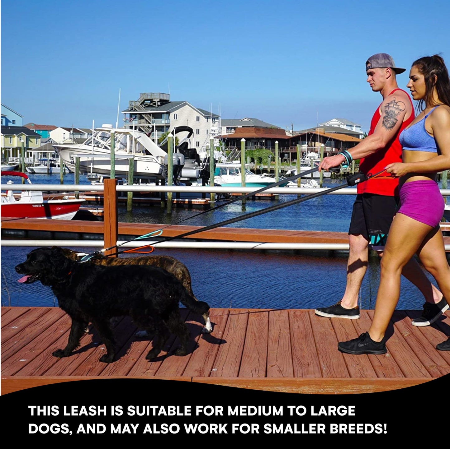 RhinoGrip Aqua: Double Handle Reflective Dog Leash