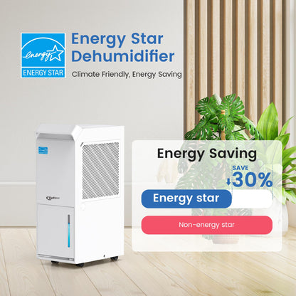 Vellgoo Energy Star Dehumidifier