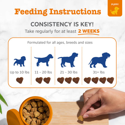 PawZest Omega Multivitamin Chews - Senior & Puppy