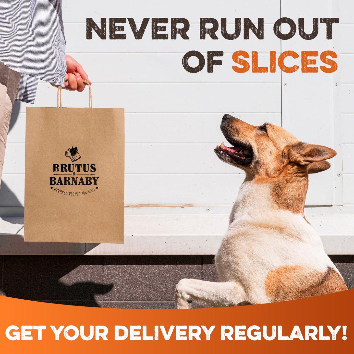 Brutus & Barnaby Sweet Potato Pup Delights