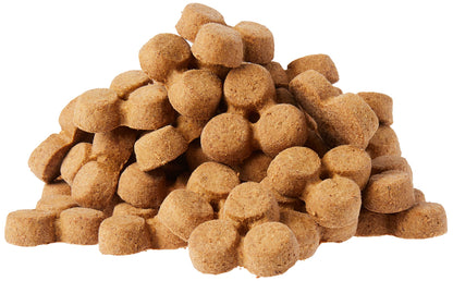 Wag Expedition Pumpkin Chia Dog Treats, Organic Biscuits