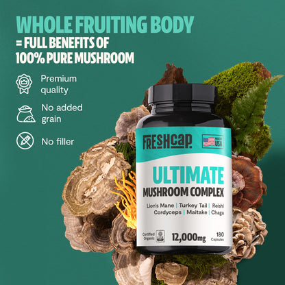 MushroomMind: Ultimate Nootropic Focus Formula