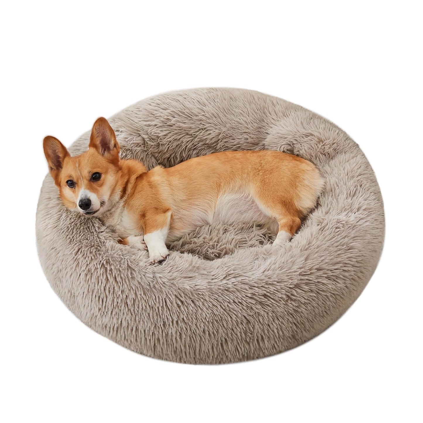 PawCozy Nest: Plush Anti-Anxiety Pet Bed, Light Grey
