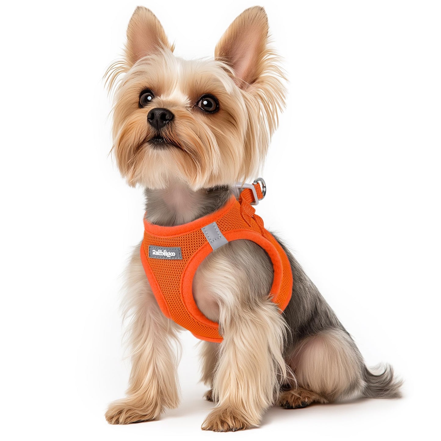 BunnyStep: Reflective Mesh Harness for Small Dogs