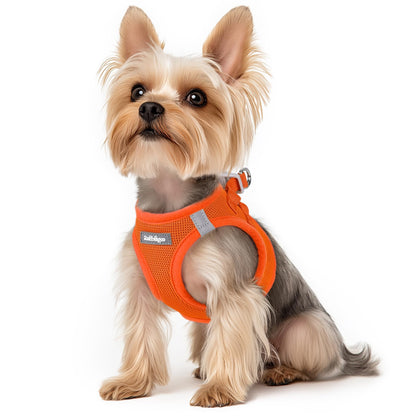 BunnyStep: Reflective Mesh Harness for Small Dogs