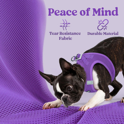 BunnyStep: Reflective Mesh Harness for Small Dogs