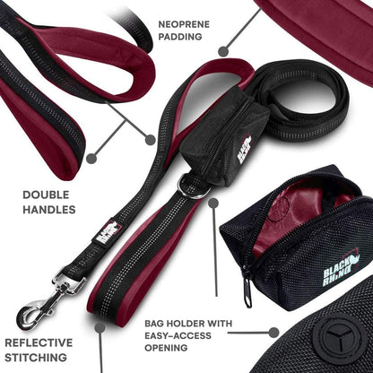 RhinoGrip Aqua: Double Handle Reflective Dog Leash