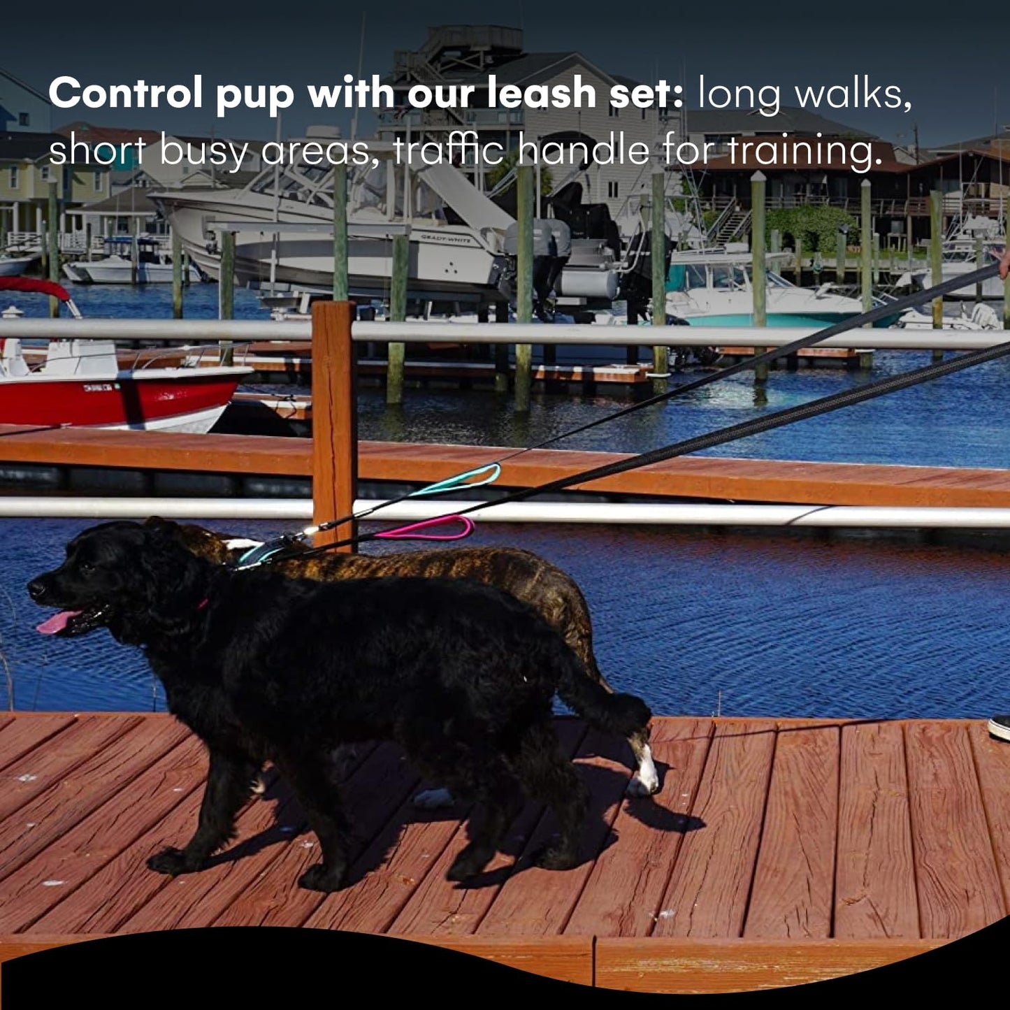 RhinoGrip Aqua: Double Handle Reflective Dog Leash