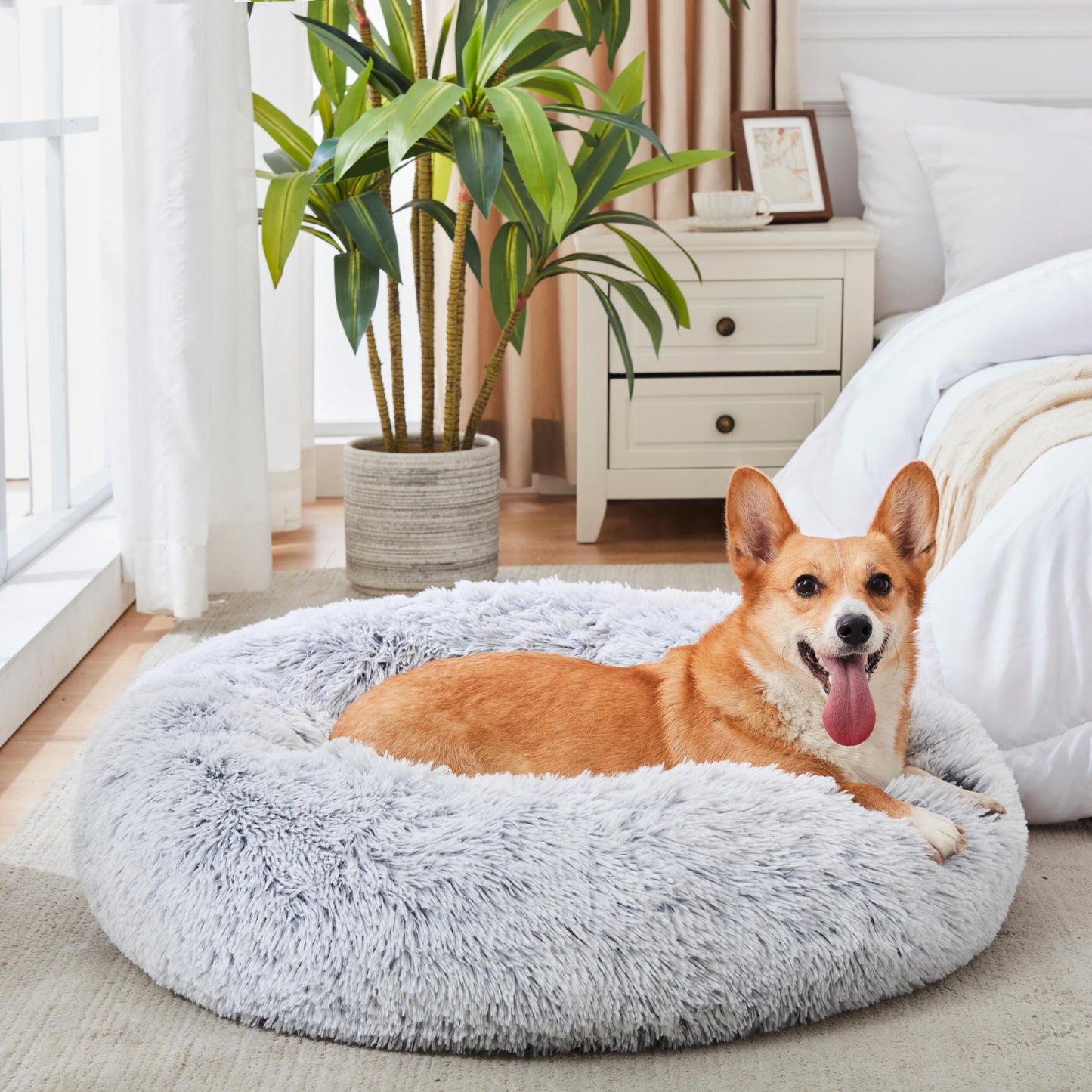 PawCozy Nest: Plush Anti-Anxiety Pet Bed, Light Grey