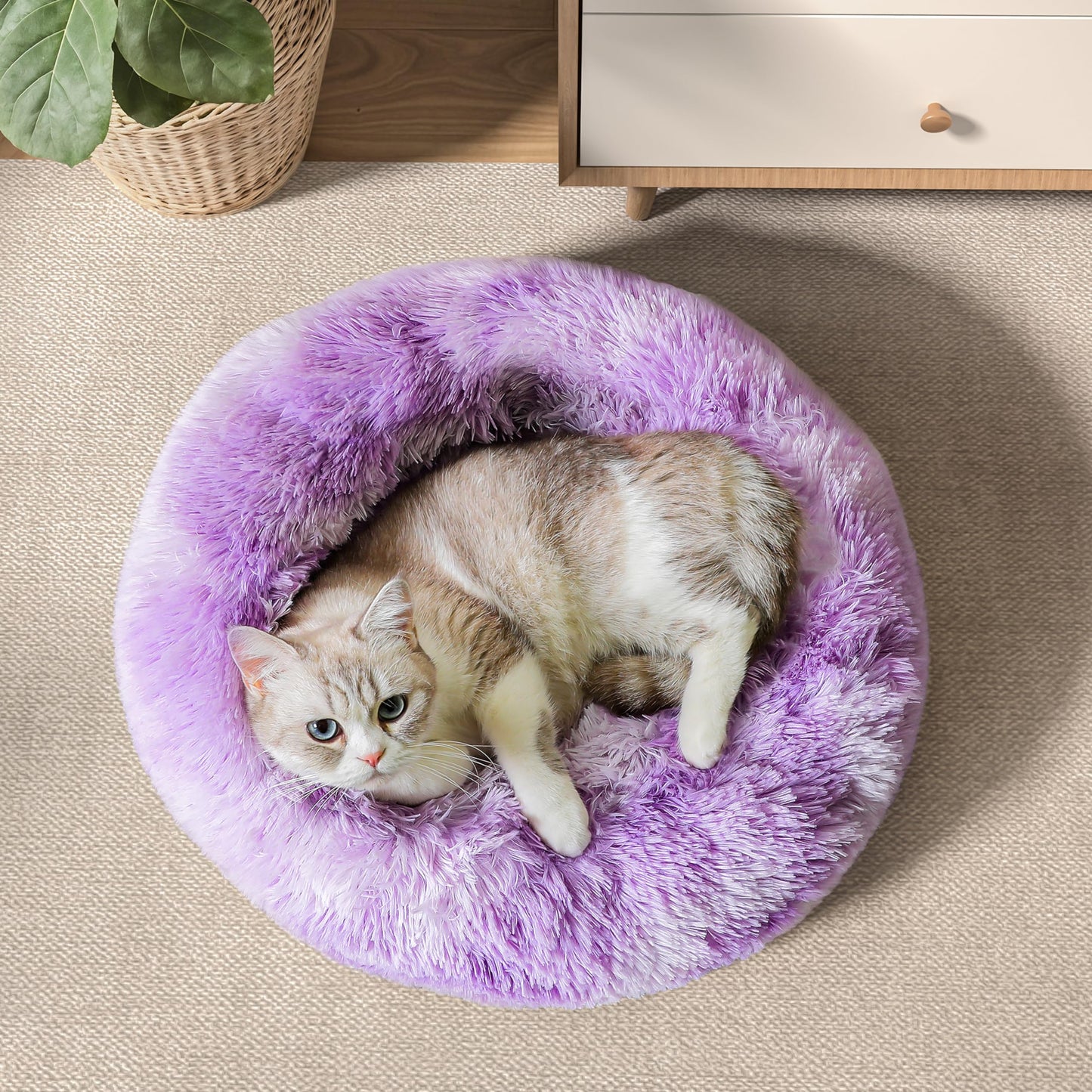 PawCozy Nest: Plush Anti-Anxiety Pet Bed, Light Grey