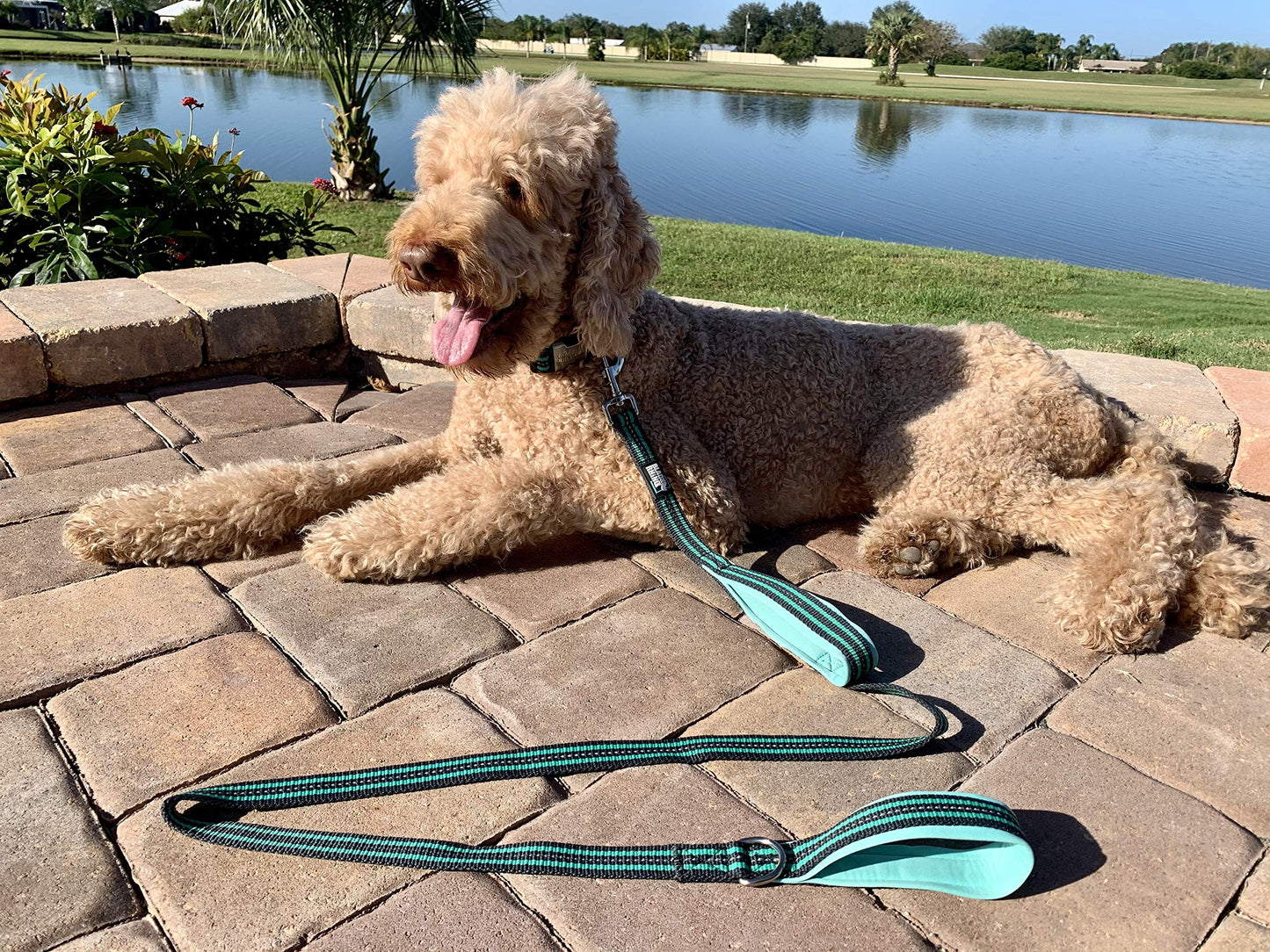 RhinoGrip Aqua: Double Handle Reflective Dog Leash