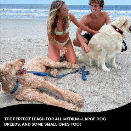 RhinoGrip Aqua: Double Handle Reflective Dog Leash